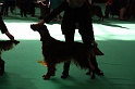 Crufts2011 651